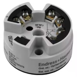 Sensor de Temperatura de Resistencia Térmica Premium Endress+Hauser TMT82-BAA2CB1A1AAA1+E1F1LA - Product Image 2