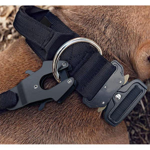 Fabrik Direkt verkauf Seil Hunde leine Schnell lösen und sperren Hunde halsband D-Loop Langlebige <span class=keywords><strong>Nylon</strong></span> Hunde leine - Product Image 6