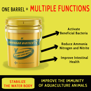 CY Pond Protect-C: Mejora la inmunidad y apoya la digestión de los animales acuáticos - Product Image 2