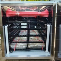 Machine de séchage solaire à faible consommation d'énergie pour gingembre, ail, oignon, piment, four de déshydratation pour mangue, banane, raisin, pomme