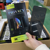 Protection d'écran en verre trempé anti-espion à 30 degrés pour iPhone 12 13 14 15 16 Mini Pro Max Plus SE XR 11