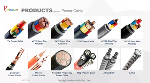 कॉपर केबल xlpvc इन्सुलेशन 25 मिमी 50 मिमी 50 मिमी 70 mm2 yjv yjv32 yjlv32 बख्तरबंद केबल 4 कोर 35 मिमी एल्यूमीनियम पावर केबल 4 कोर 35 मिमी एल्यूमीनियम पावर केबल - Product Image 6
