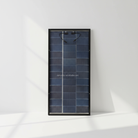 Module solaire transparent Premium Full Black 200W, boîtier de jonction étanche à la poussière et à l'eau IP68, panneau photovoltaïque à haut rendement
