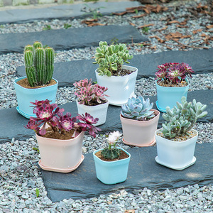 Pot à fleurs carré nordique Airi Shield, jardinière en plastique émaillé pour plantes vertes de bureau - Product Image 2