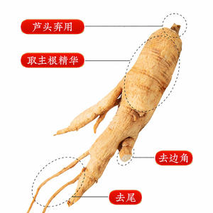 Premium Panax Quinquefolius Ekstraktı Fabrikası Tedarikçisi Özel OEM için Amerikan <span class=keywords><strong>Ginseng</strong></span> Tozu - Product Image 4