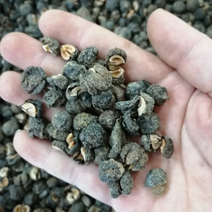 Yuganzi khô Amla phyllanthi Fructus các loại trái cây chín của phyllanthus emblica L. để bán - Product Image 2