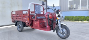 Scooter de mobilité bon marché à la mode avec vélo <span class=keywords><strong>pliant</strong></span> pousse-pousse cargo <span class=keywords><strong>tricycle</strong></span> électrique pour passagers adultes - Product Image 6
