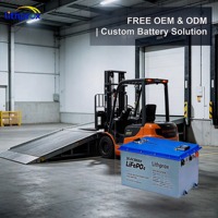 Batteria al Litio per Trazione 38.4V 300Ah Grado Automobilistico LiFePO4 con Protezione da Sovraccarico per Fabbriche e Magazzini Certificata CE UL UN38.3 - Vendita all'Ingrosso