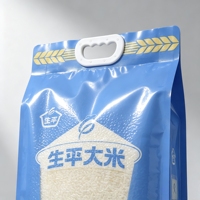 Sac fourre-tout en plastique tissé réutilisable imprimé sur mesure pour le riz et la farine avec un GSM spécifique
