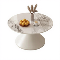 Ensemble de tables basses modernes minimalistes en acier inoxydable, meubles de salon de haute qualité et écologiques
