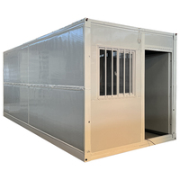 Maison préfabriquée de type Z prête à l'emploi, remorque conteneur, petite maison sur structure légère en acier préfabriqué, maison mobile de luxe pour magasin