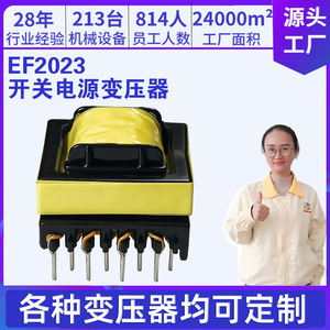 หม้อแปลงไฟฟ้าแบบสวิตชิ่ง Chengpin Technology EF2023 แกน IF แบบเฟสเดียว กำลังไฟฟ้าปรับแต่งได้ ระบายความร้อนแบบธรรมชาติ - Product Image 5