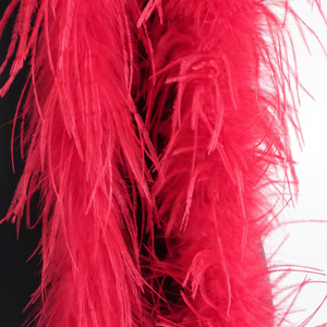 Écharpe sexy pour femmes, bandes de plumes pour la décoration de la taille, accessoires de couture, décorations de Noël, carnaval, flirt - Product Image 4