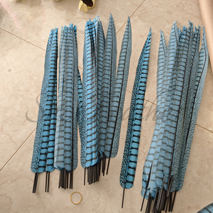 Plumes de faisan artificielles teintes bon marché Lady Amherst Plumas de plumes de queue de faisan pour la décoration de costumes de carnaval - Product Image 2
