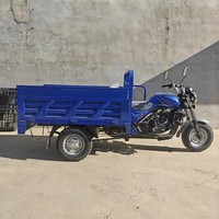 Tricycle de fret motorisé avec moteur refroidi par eau de 250 cm3, cadre renforcé soudé au laser, charge utile élevée, durable, économique