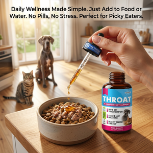 Gotas de soporte pulmonar <span class=keywords><strong>para</strong></span> perros Suplementos de salud respiratoria Mullein Leaf & Echinacea Hierba Pulmones Líquido Suplementos de vitaminas <span class=keywords><strong>para</strong></span> perros - Product Image 5