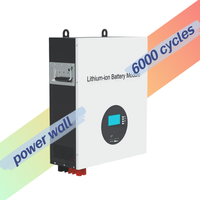 Systèmes d'énergie solaire Smsenergy à montage mural, batterie 51,2 V 50 Ah 100 Ah 200 Ah 3 kWh 5 kWh, batterie domestique Lifepo4 IP65 CAN hybride