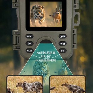 1080P giá rẻ Trail máy ảnh hồng ngoại ngoài trời động vật hoang dã giám sát <span class=keywords><strong>Scouting</strong></span> máy ảnh kích thước nhỏ tàng hình CCTV săn bắn máy ảnh - Product Image 2