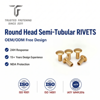 Rivets semi-tubulaires à tête ronde en acier inoxydable TianFang pour maillons de chaîne de vélo, finition passivée, sur commande