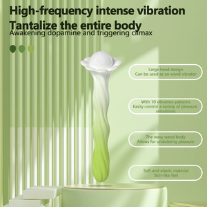 Vibrador de Doble Cabezal para Clítoris y Punto G Vaginal con 10 Frecuencias, Recargable por USB, Resistente al Agua IPX7, para Orgasmo Femenino - Product Image 3