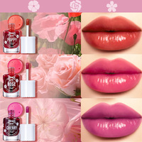 Rouge à lèvres liquide multi-usage longue tenue, formule hydratante, fini lisse, effet brillant/transparent/mat, personnalisable