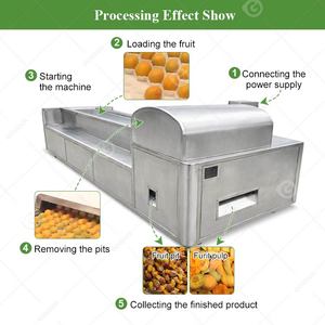 Máquina automática para deshuesar dátiles frescos, aceitunas y roselle, eliminadora de semillas y huesos - Product Image 4