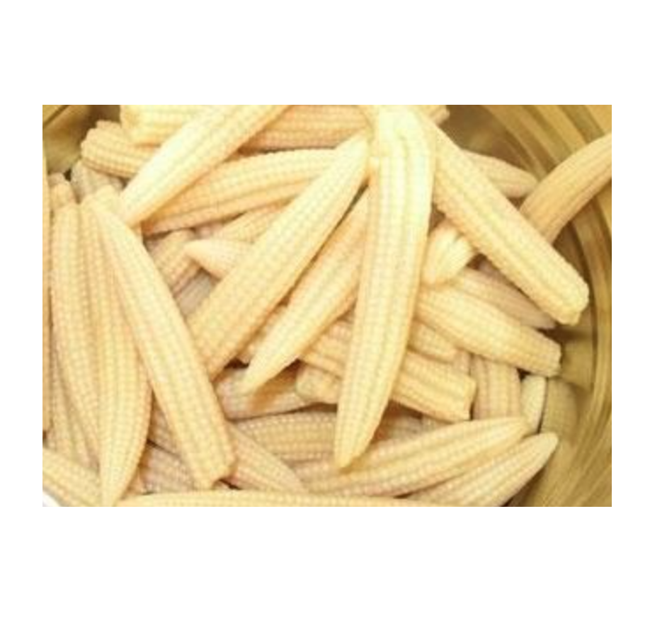 FRESH FROZEN BABY CORN - DELICIOUS AND NUTRITIOUS, AMAZING TASTE WITH BEST PRICE FROM AGENAS CO.LTD
