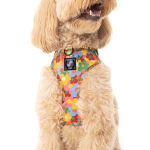 Arnés para mascotas con degradado de alta calidad, diseño único personalizado, <span class=keywords><strong>abrigo</strong></span> para perro, oso de peluche/arneses para perros grandes y ligeros - Product Image 4