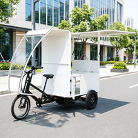 Vélo cargo urbain, Vélo cargo électrique à pneus larges, Tricycle de livraison électrique à 3 roues