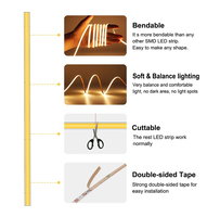 Tira de Luces LED COB Inteligente de Alto Rendimiento con Clasificación IP20, Control Remoto, Longitud Flexible de 8 mm, 480 LED/m, 12 V 24 V