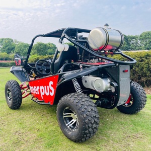 2024 mới nhất 4x4 <span class=keywords><strong>Buggy</strong></span> off road 4x4 để bán với che mưa, gương và Đèn quay - Product Image 4