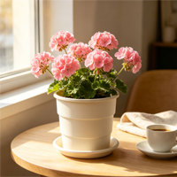 Pot de fleurs en PP épaissi de type gallon, avec trous de drainage respirants, conception de contrôle des racines, durable, minimaliste, simple, créatif, toutes saisons