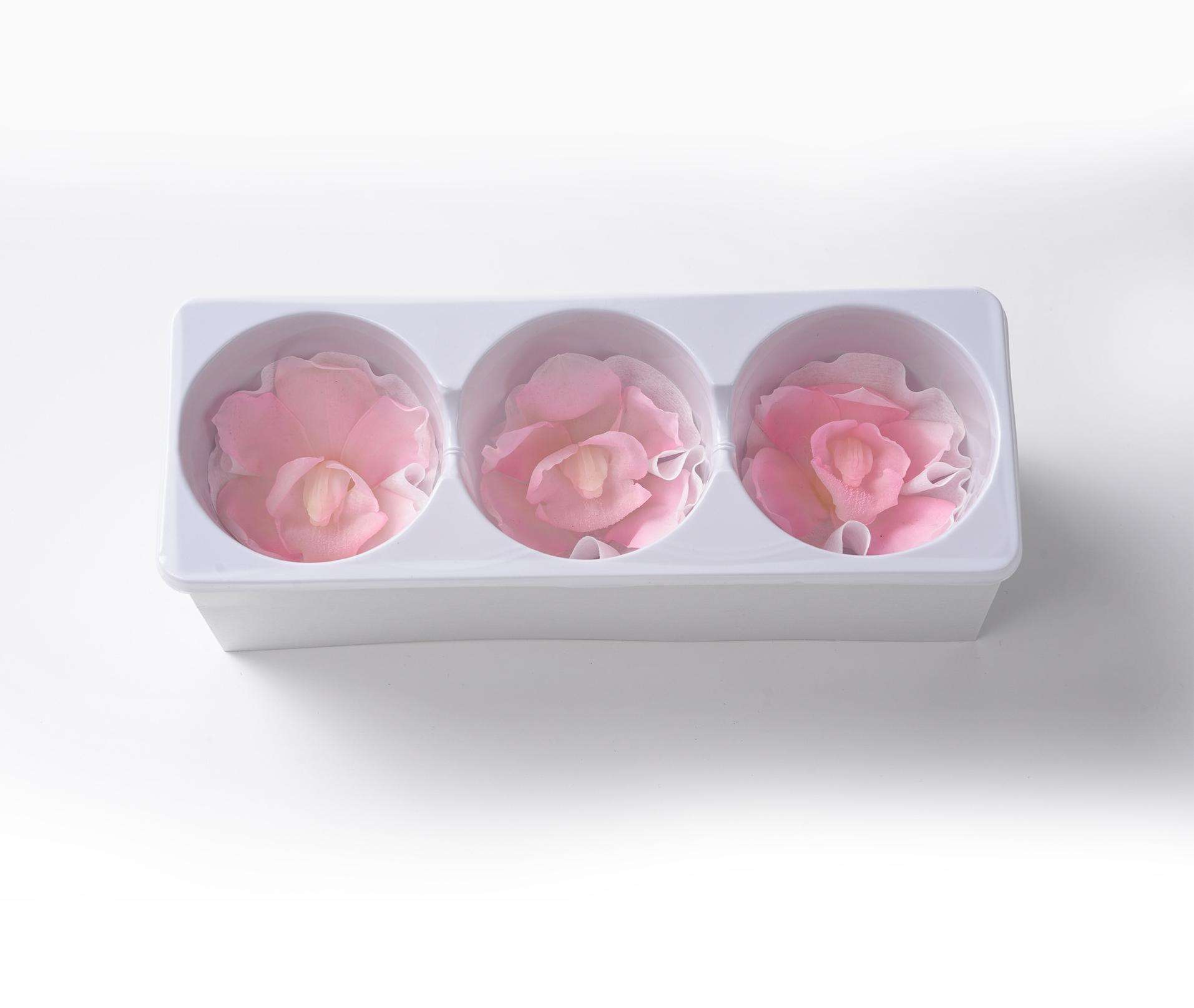 ซากุระสีชมพู