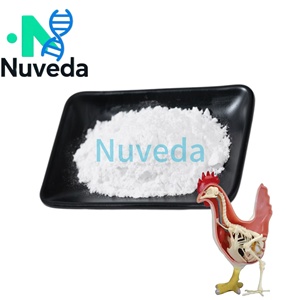 Toptan fiyatlarla yüksek saflıkta tavuk kondroitin sülfat gıda sınıfı ve sıcak satış ürünü - Product Image 1