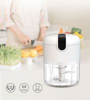 266083 250ml mini hachoir à ail électrique hachoir à légumes usb charge hachoir mini mélangeur d'ail