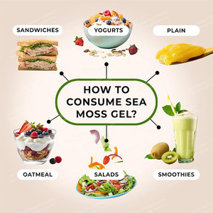 Complément Minéral à la <span class=keywords><strong>Spiruline</strong></span> Bleue, à la Framboise et aux Algues Marines pour Améliorer l'Immunité, Améliorer Votre Bien-être, Donner de la Brillance à Votre Peau, 16 FL OZ 2 - Product Image 4