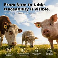 Etiqueta de Oreja RFID para Animales de la Marca ECO, Compatible con ISO 11784/11785, para Rastreo de Ganado, Cerdos, Ovejas y Cabras, Resistente al Calor, para PDA