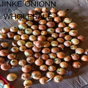 Органические цельнокорневые и листовые вяленые хлопья лука сладкие чистые ароматизированные объемные зеленые овощи для выпечки, похожие на порошок - Product Image 4