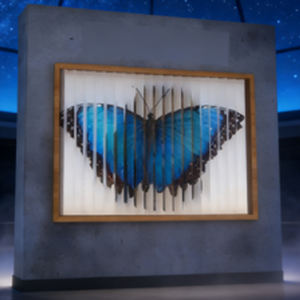 produttore galleggiano e piombino utilizzati come oggetti di scena per mostre e attività di divulgazione scientifica - Product Image 5