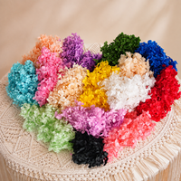 Bunga Hydrangea Anna Kering Terawetkan, Untaian Bunga Pengantin, Dekorasi Meja, Dekorasi Rumah, Florist, Natal, Gaya Boho