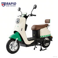 500w vélo électrique Scooter cyclomoteur vélo électrique vélo électrique Ebike cyclomoteur avec 2 sièges