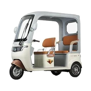 Tricycle électrique à toit ouvert Metropolis, moteur 60 volts 650W, 3 places, certifié CCC, matériau en acier, capacité de charge utile - Product Image 2