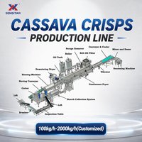 Ligne de production de chips de manioc certifiée CE, 1T/H, friture continue, précision de découpe ≤0,05 mm, traçabilité complète PLC pour l'UE