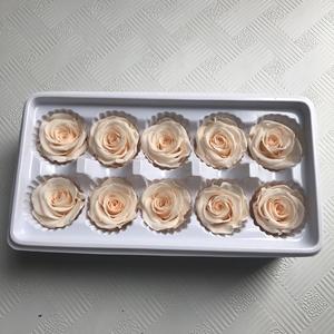 Cabeza <span class=keywords><strong>de</strong></span> Rosa preservada <span class=keywords><strong>de</strong></span> buena calidad, 3-4 cm, nueva, <span class=keywords><strong>2022</strong></span> - Product Image 6