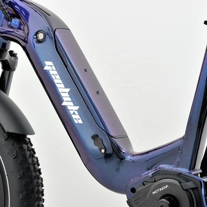 Trikes électriques professionnels pour adultes avec moteur à batterie au lithium centrale 48v <span class=keywords><strong>Shimano</strong></span> <span class=keywords><strong>Nexus</strong></span> <span class=keywords><strong>7</strong></span> vitesses - Product Image 5
