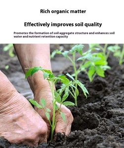 Органический азот гранулированное удобрение для фруктовых деревьев высокое содержание азота - Product Image 5