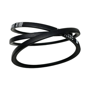 Mitsuboshi <span class=keywords><strong>Rubber</strong></span> <span class=keywords><strong>V</strong></span> Riem Klassiek Omwikkeld Transmissie <span class=keywords><strong>V</strong></span> Riem Spa2000lw - Product Image 2