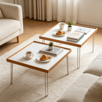 Table basse pliable minimaliste moderne blanche de style Bauhaus inspirée de la dopamine, en acier inoxydable et en bois massif