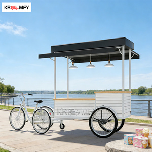 Chariot de vente ambulante de crème glacée mexicaine à bas prix - Product Image 1