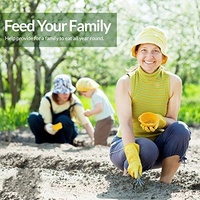 Kit de plantes de jardin en sachet de thé aux 5 herbes biologiques naturelles pour la plantation de thé à domicile, complémenté pour la culture du thé
